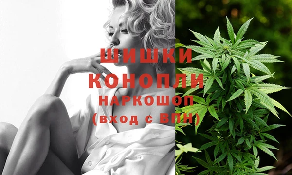мдпв Богданович
