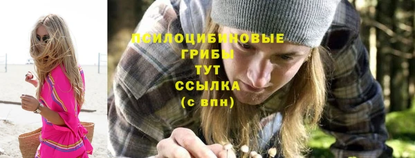 мдпв Богданович
