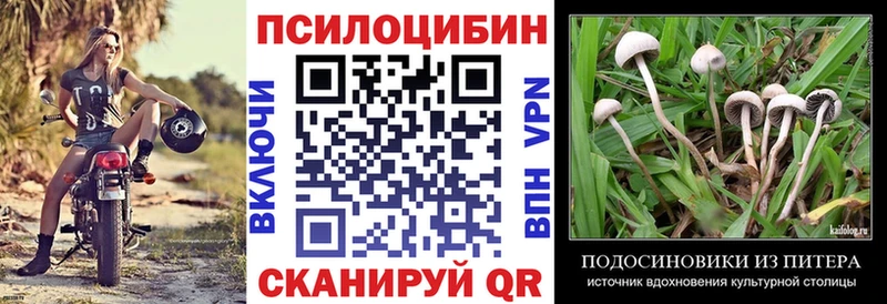 Галлюциногенные грибы Psilocybine cubensis  Пестово 